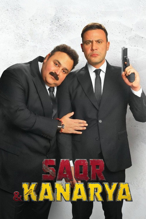 Movie poster for Falcon and canary (2026)