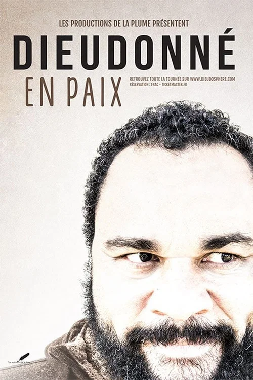 Movie poster for Dieudonné - En paix (2015)