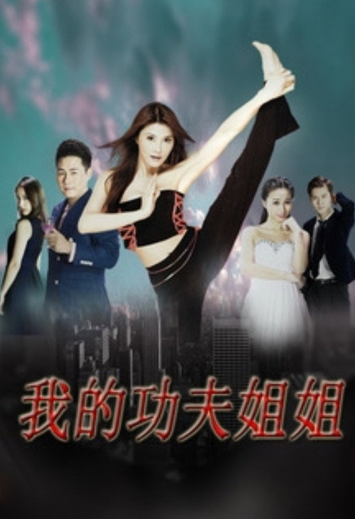Movie poster for Wo De Gong Fu Jie Jie (2017)