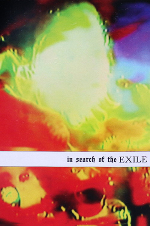 Movie poster for In Search of the Exile (2016)