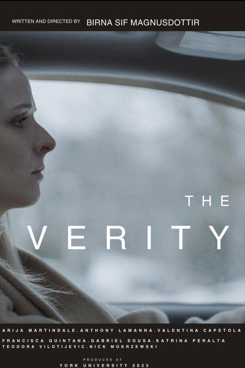 Movie poster for The Verity (2023)
