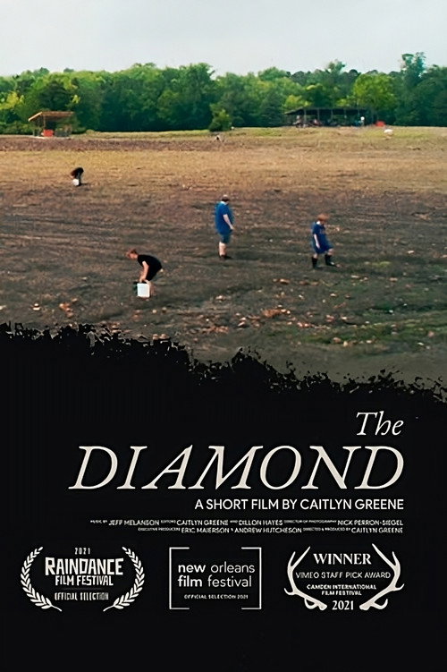 Movie poster for The Diamond (2021)