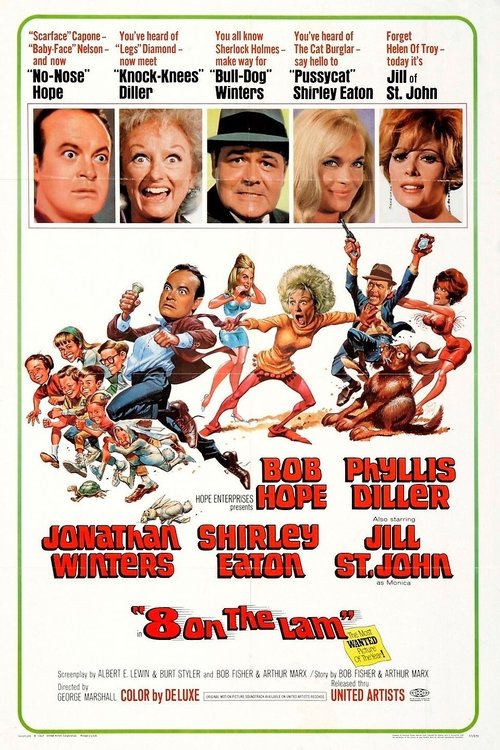 Movie poster for Eight on the Lam (1967)