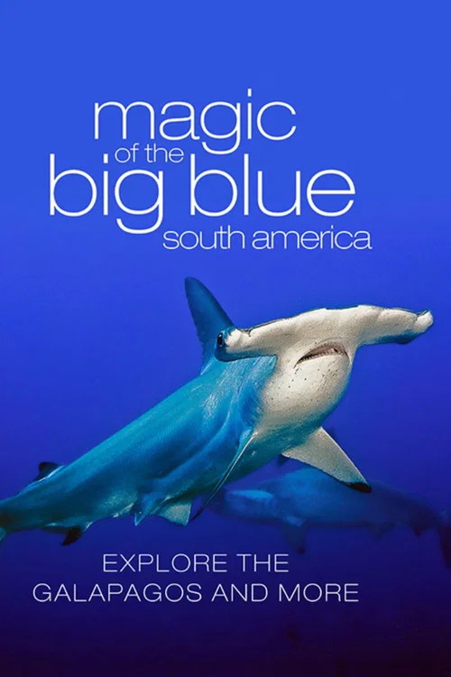 Series poster for The Magic of the Big Blue. Seven Continents (2013)
