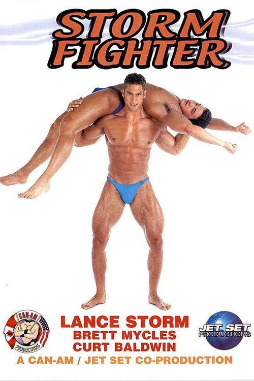 Movie poster for Storm Fighter (2001)