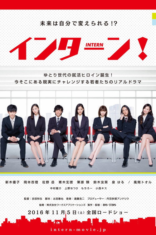 Movie poster for Intern (2016)