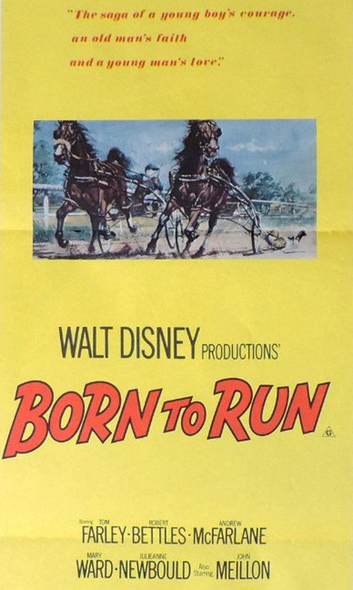 Movie poster for Born to Run (1977)