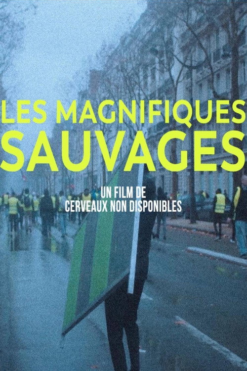 Movie poster for Les Magnifiques sauvages (2023)