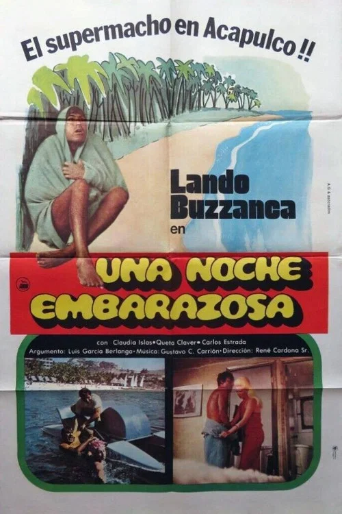 Movie poster for Una noche embarazosa (1977)