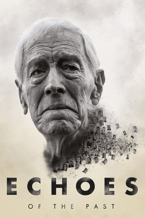 Movie poster for Echoes of the Past (2021)