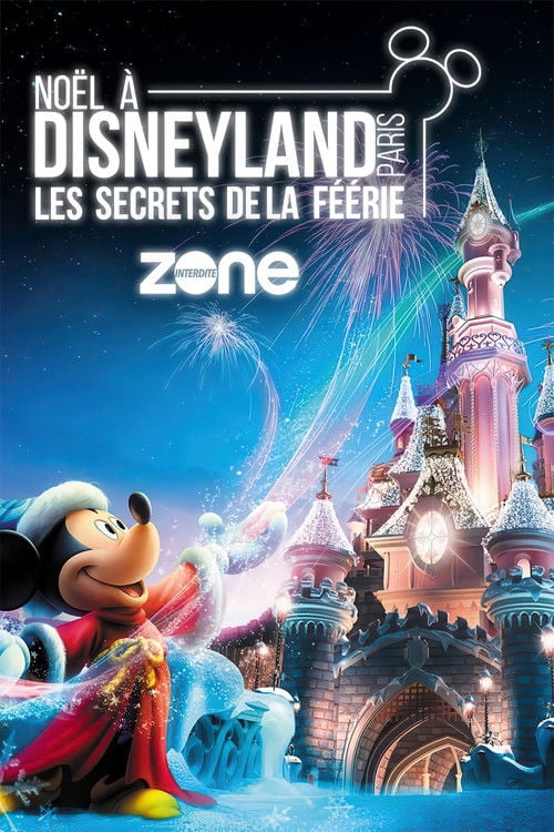 Movie poster for Noël à Disneyland : Les Secrets de la Féérie (2018)