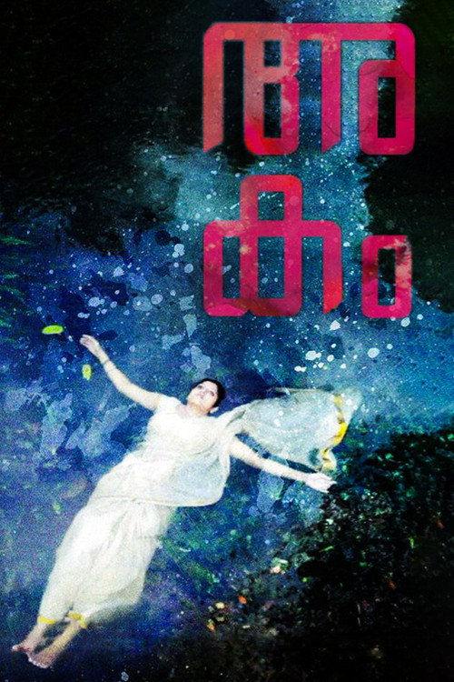 Movie poster for Akam (2013)