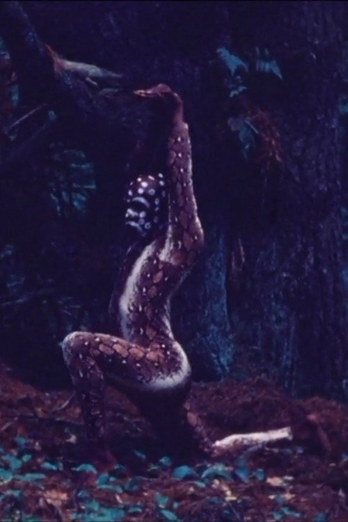 Movie poster for Snake Dance Teacher Dance (1978)