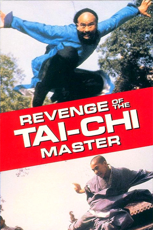 Movie poster for Secret of Tai Chi (1982)
