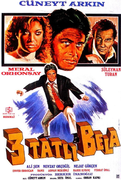Movie poster for Üç Tatlı Bela (1979)