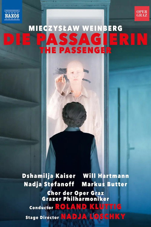 Movie poster for The Passenger (2022)