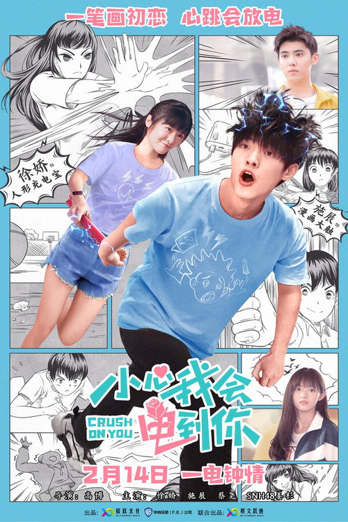Movie poster for Crush on You