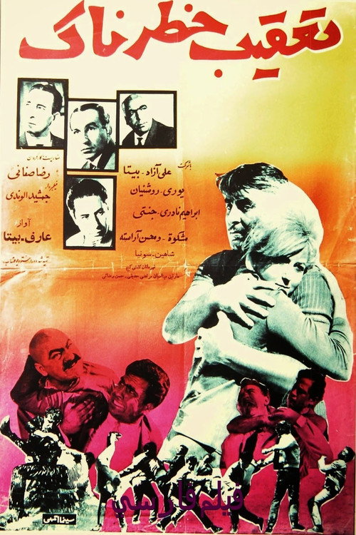 Movie poster for A Dangerous Pursuit (1965)