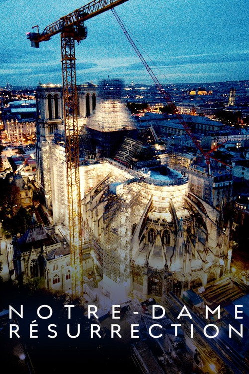 Movie poster for Notre-Dame Résurrection (2024)