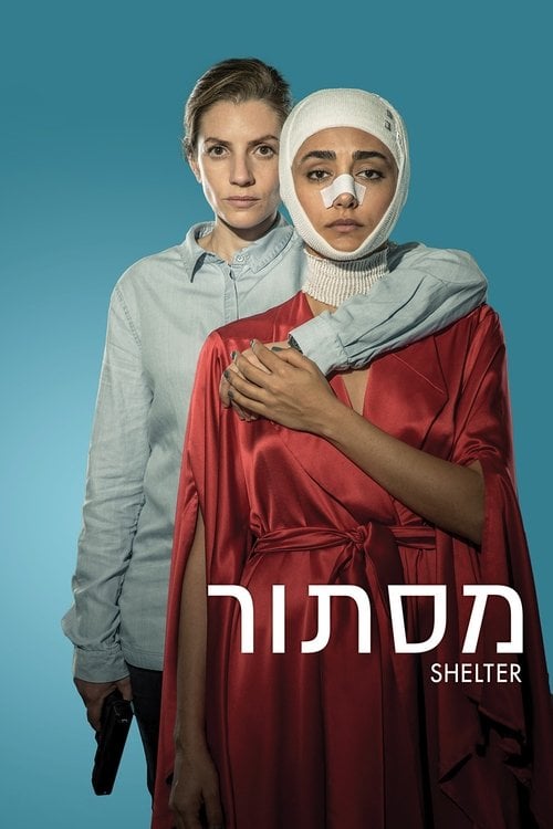 Movie poster for Shelter (2017)