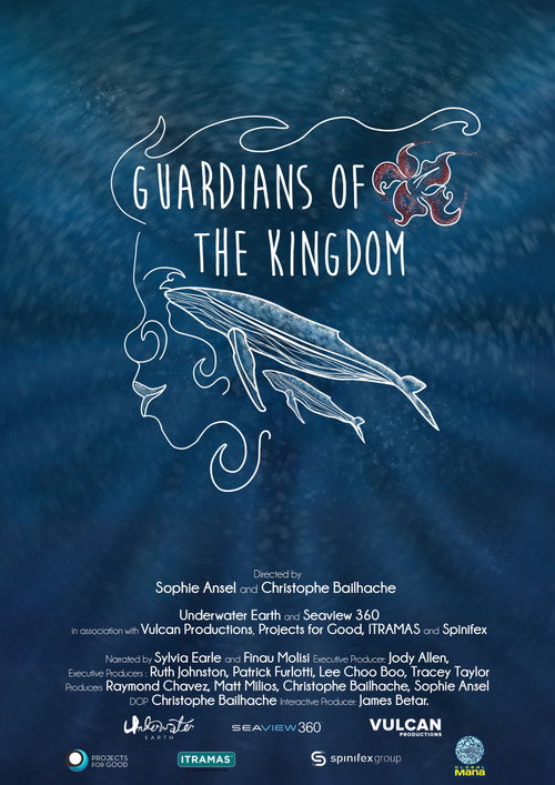 Movie poster for Guardians of the Kingdom (2020)