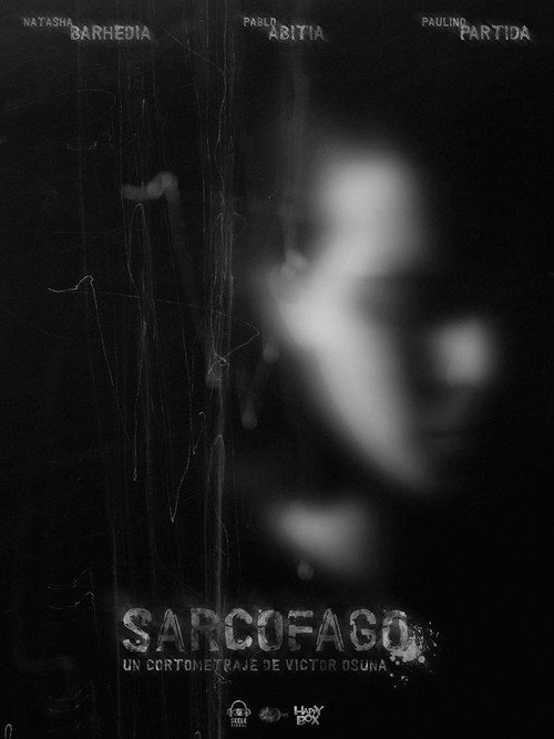 Movie poster for Sarcófago (2013)