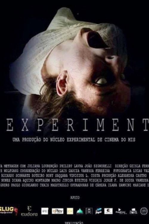 Movie poster for The Experiment (2016)