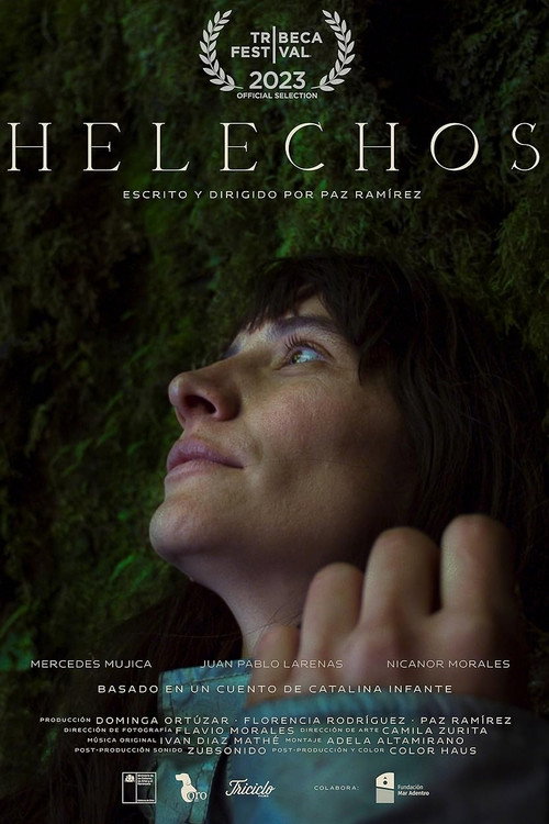 Movie poster for Ferns (2023)