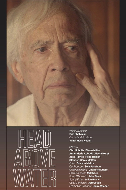 Movie poster for Head Above Water (2017)