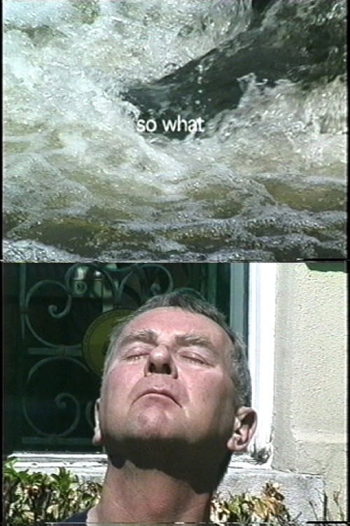 Movie poster for So What? (2004)