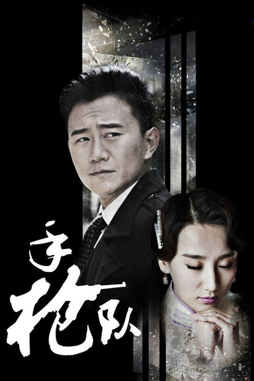 Series poster for 手枪队 (2016)