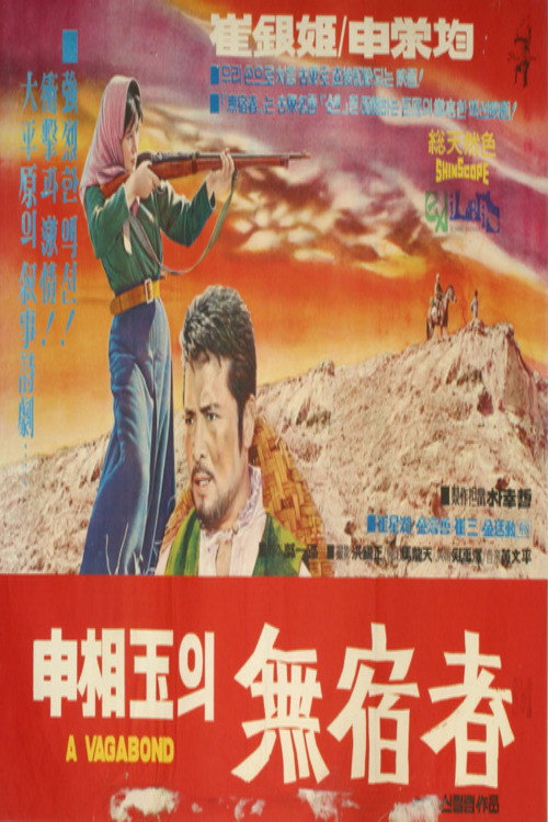 Movie poster for The Homeless Wanderer (1968)
