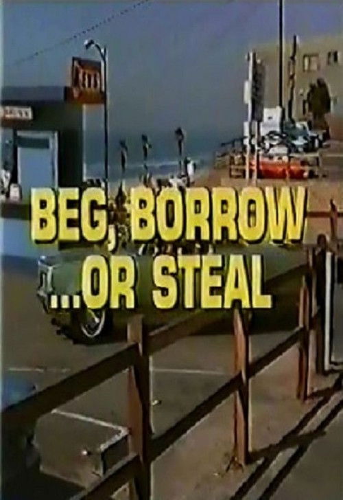 Movie poster for Beg, Borrow...or Steal (1973)