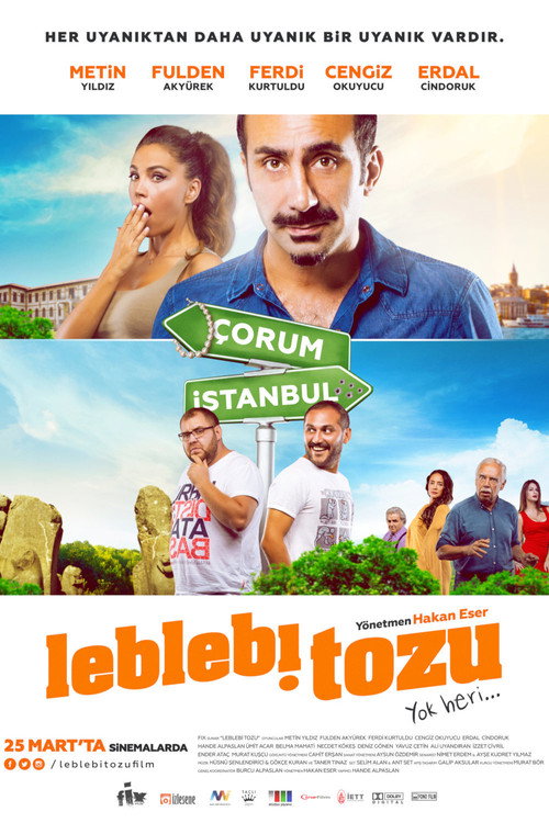 Movie poster for Leblebi Tozu (2016)