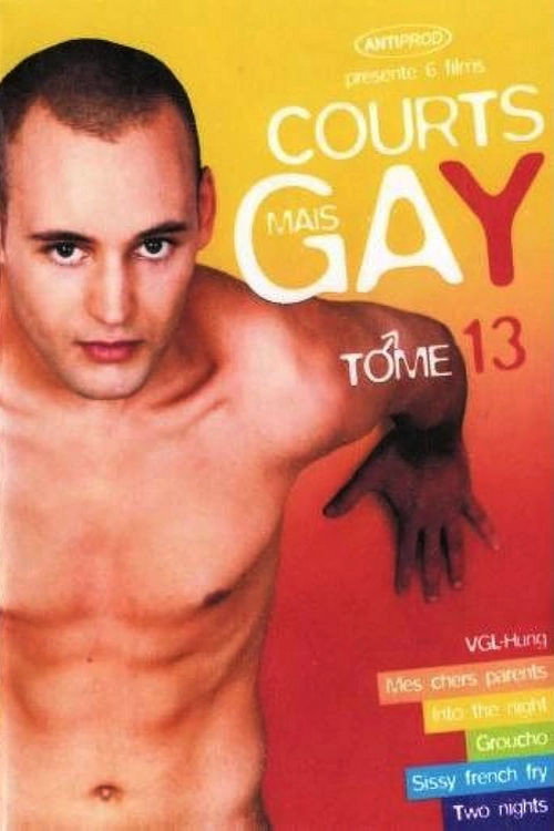 Movie poster for Courts mais Gay : Tome 13 (2007)