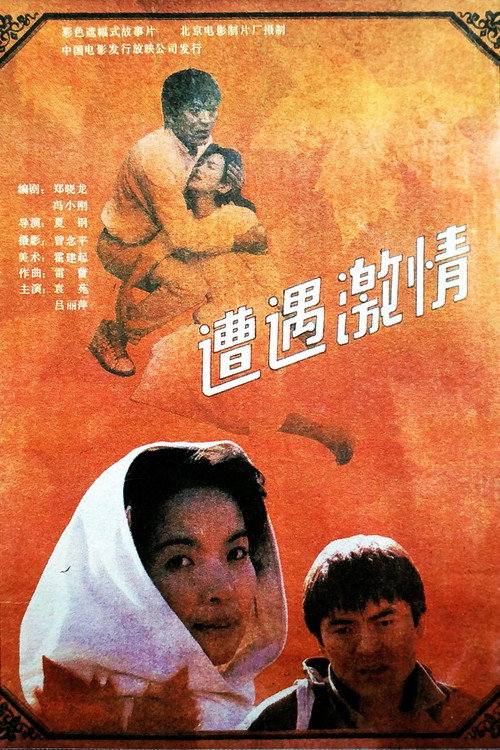 Movie poster for 遭遇激情 (1990)