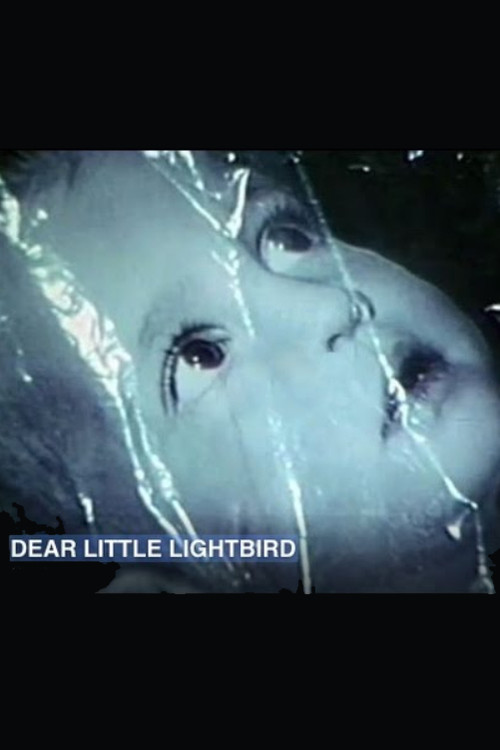 Movie poster for Dear Little Lightbird (1968)
