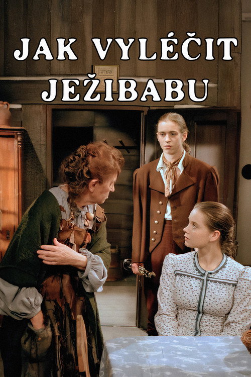 Movie poster for Jak vyléčit Ježibabu (1997)