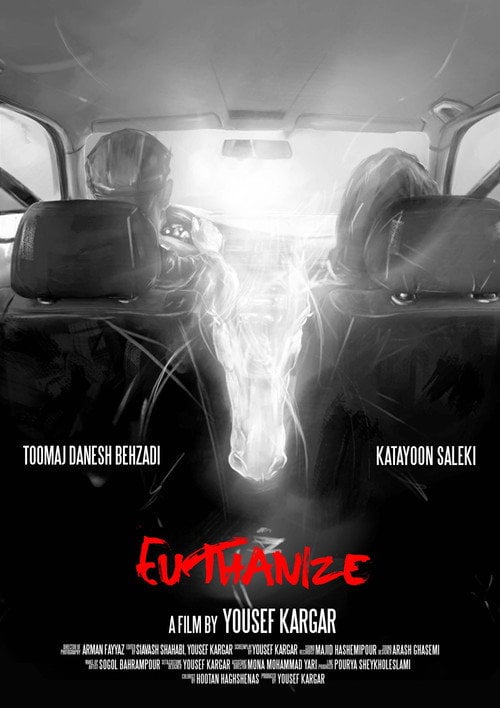 Movie poster for Euthanize (2019)