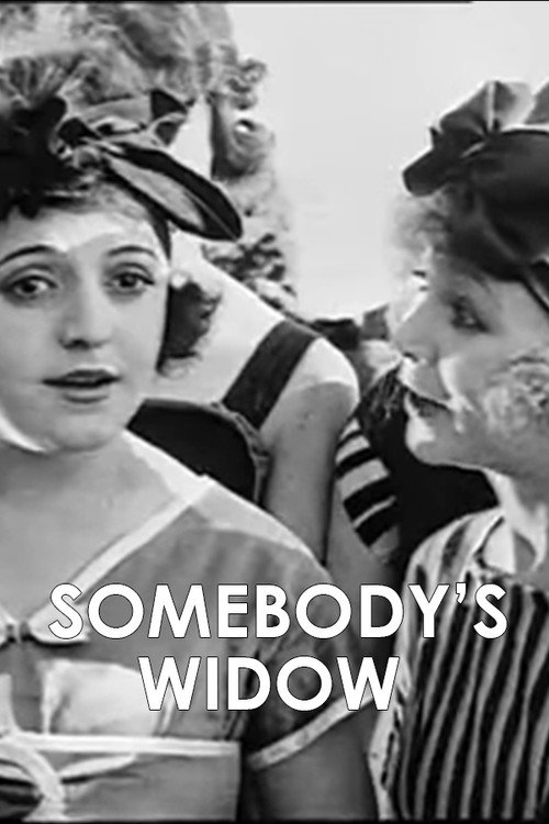Movie poster for Somebody's Widow (1918)