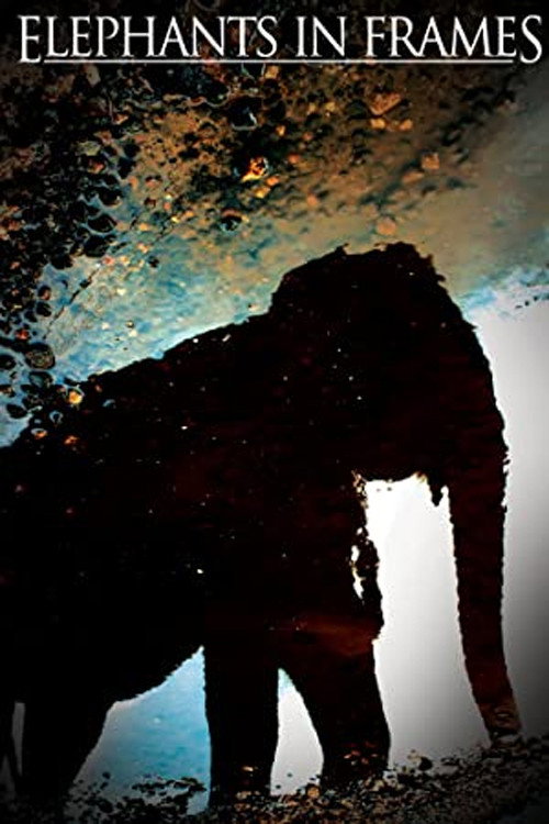 Movie poster for Elephant Power (2000)