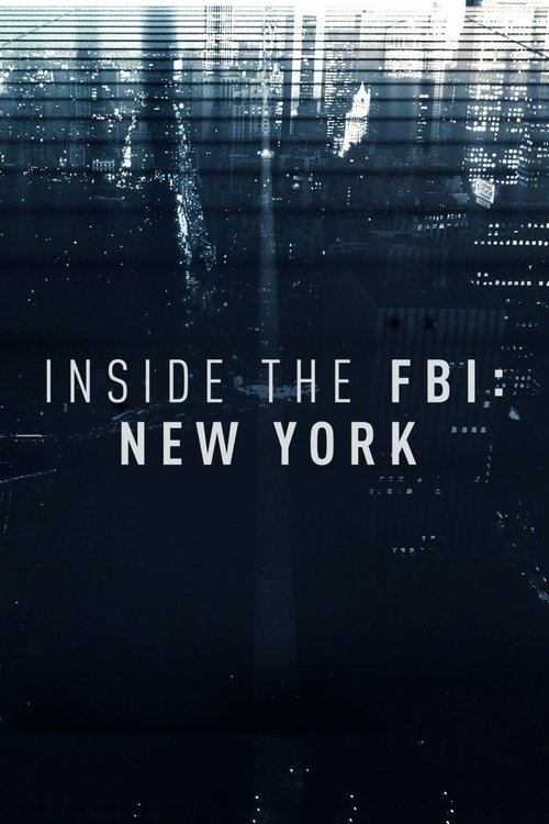 Series poster for Inside the FBI: New York (2017)