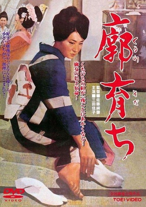Movie poster for Raised in a Palace (1964)