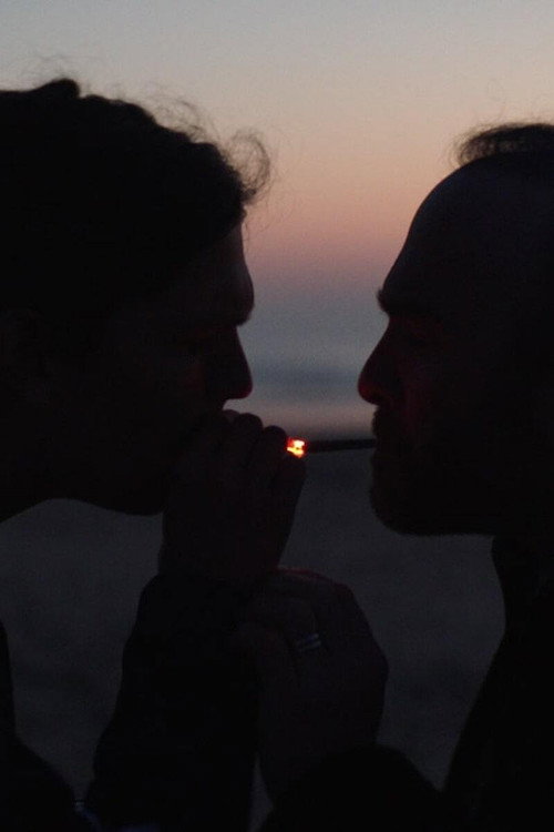 Movie poster for Far from the South (2019)