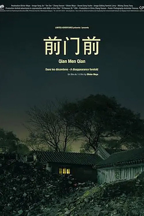 Movie poster for A Disappearance Foretold (2008)