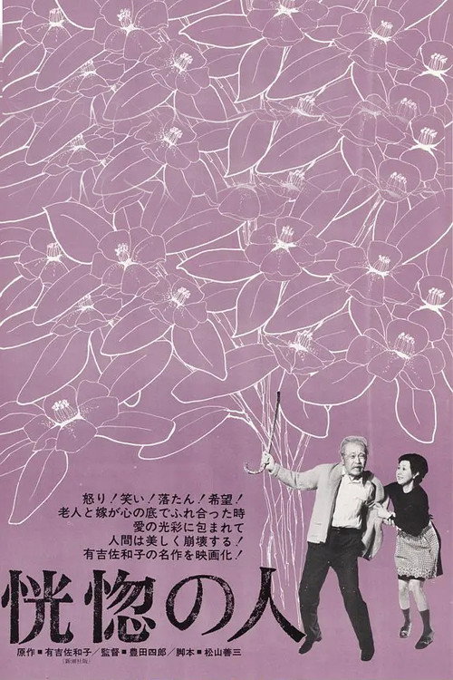 Movie poster for The Twilight Years (1973)