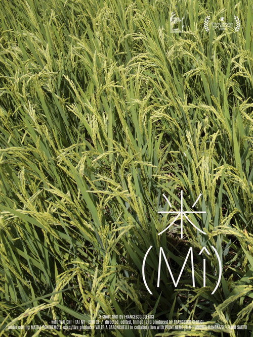 Movie poster for 米 (Mî) (2020)
