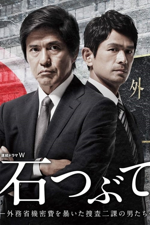 Throwing Stones : Cops Against the Government poster