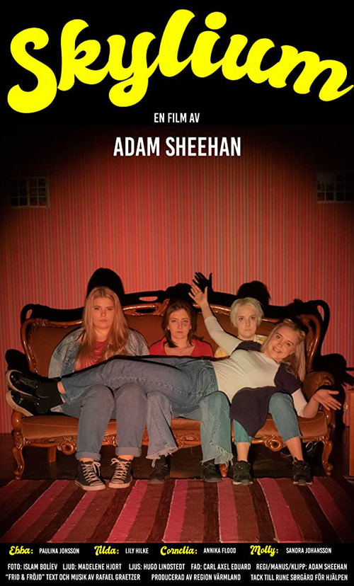 Movie poster for Skylium (2019)