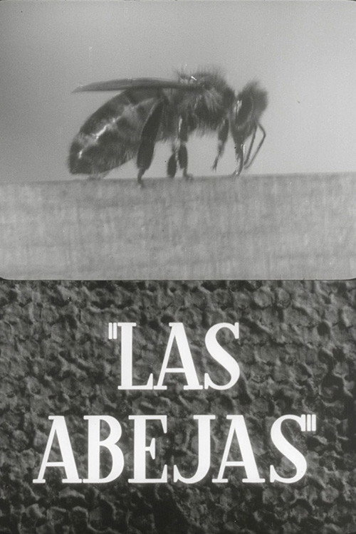 Movie poster for Las abejas (1951)